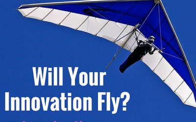 Will Your Innovation Fly?