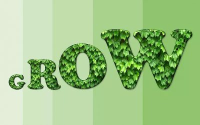 Ditch the Gradebook for Standards- Based Grading