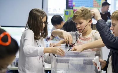 Building their own Aquaponics Systems